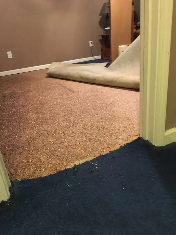 Carpet pad removal revealing water damage during Water Mitigation Services in Englewood