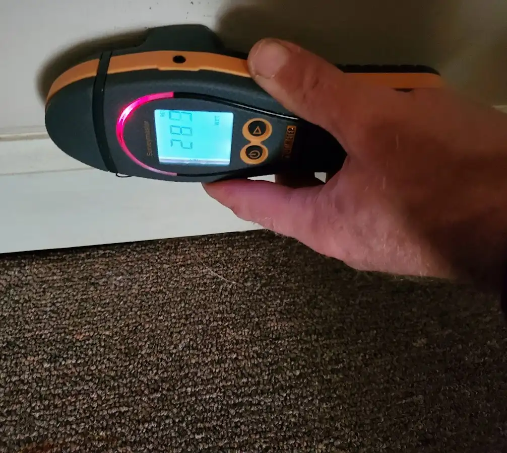 Moisture detection at baseboard during Sewage Cleanup & Sanitation in Englewood
